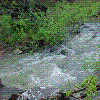 Camera 4