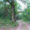 Camera 9